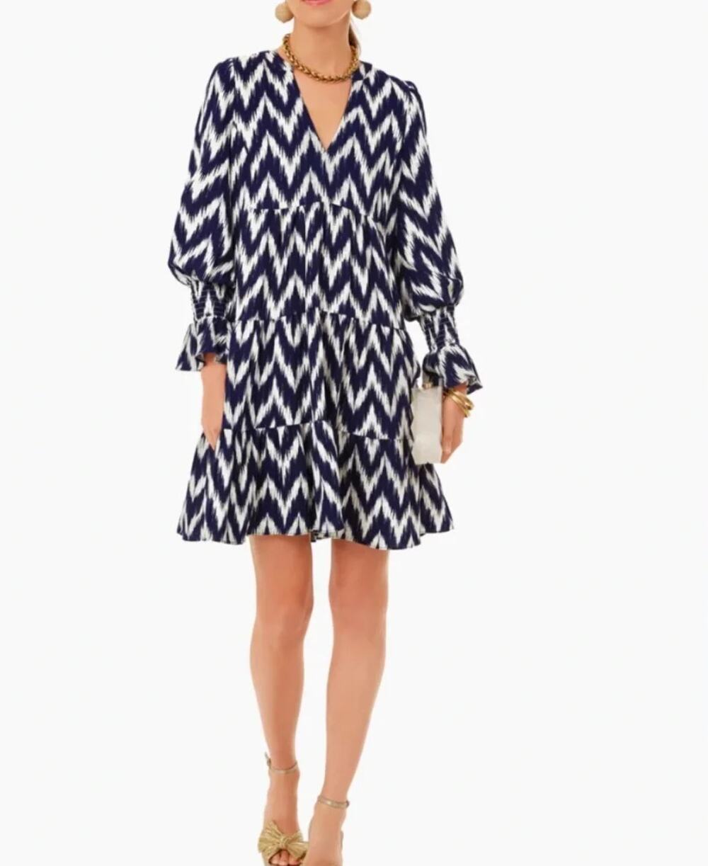 Pomander Place Ikat Kenzo Dress Size XS